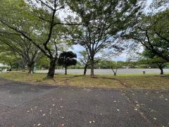城北公園