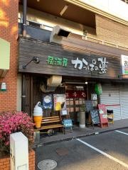 かっぱの夢