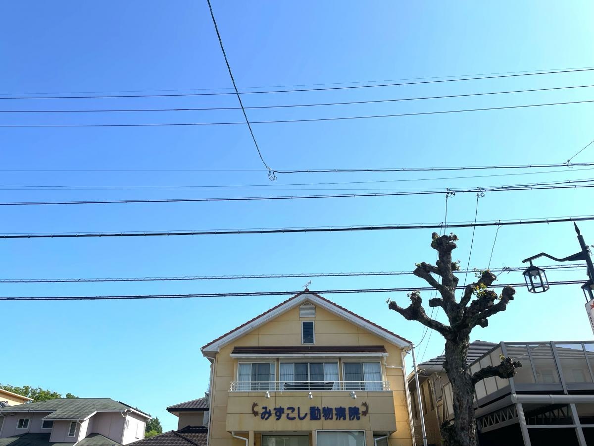 外観。