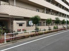 ロマンヒルズ西台ハイライフ東
