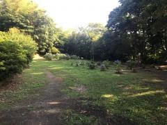 鹿島城山公園
