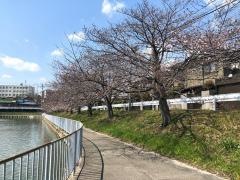 林下街園