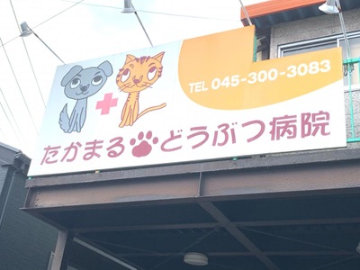 ドッグメディカル たかまるどうぶつ病院