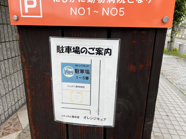 投稿写真1