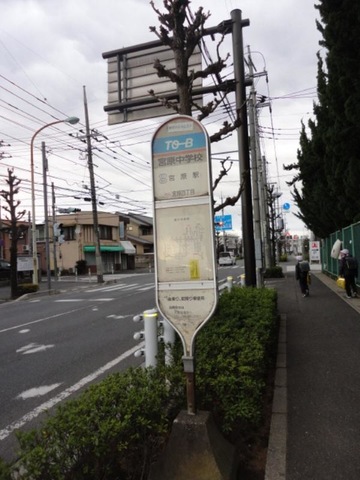 投稿写真6