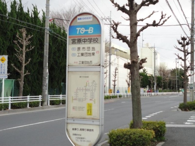 投稿写真5