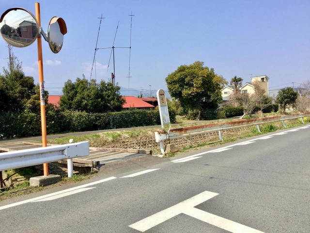 投稿写真1