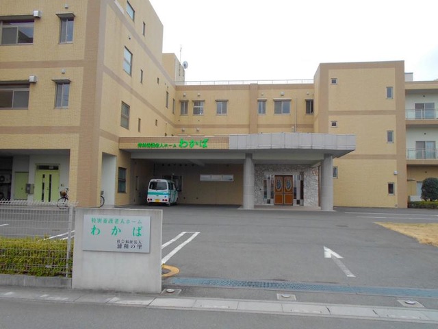 わかば