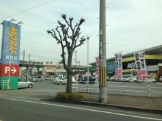 モリスドラッグ緑丘店