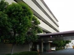 向陽病院