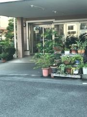 石川循環器科内科