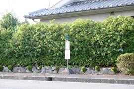 「北一番町」バス停留所