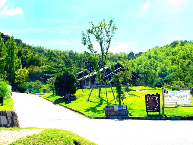 投稿写真7