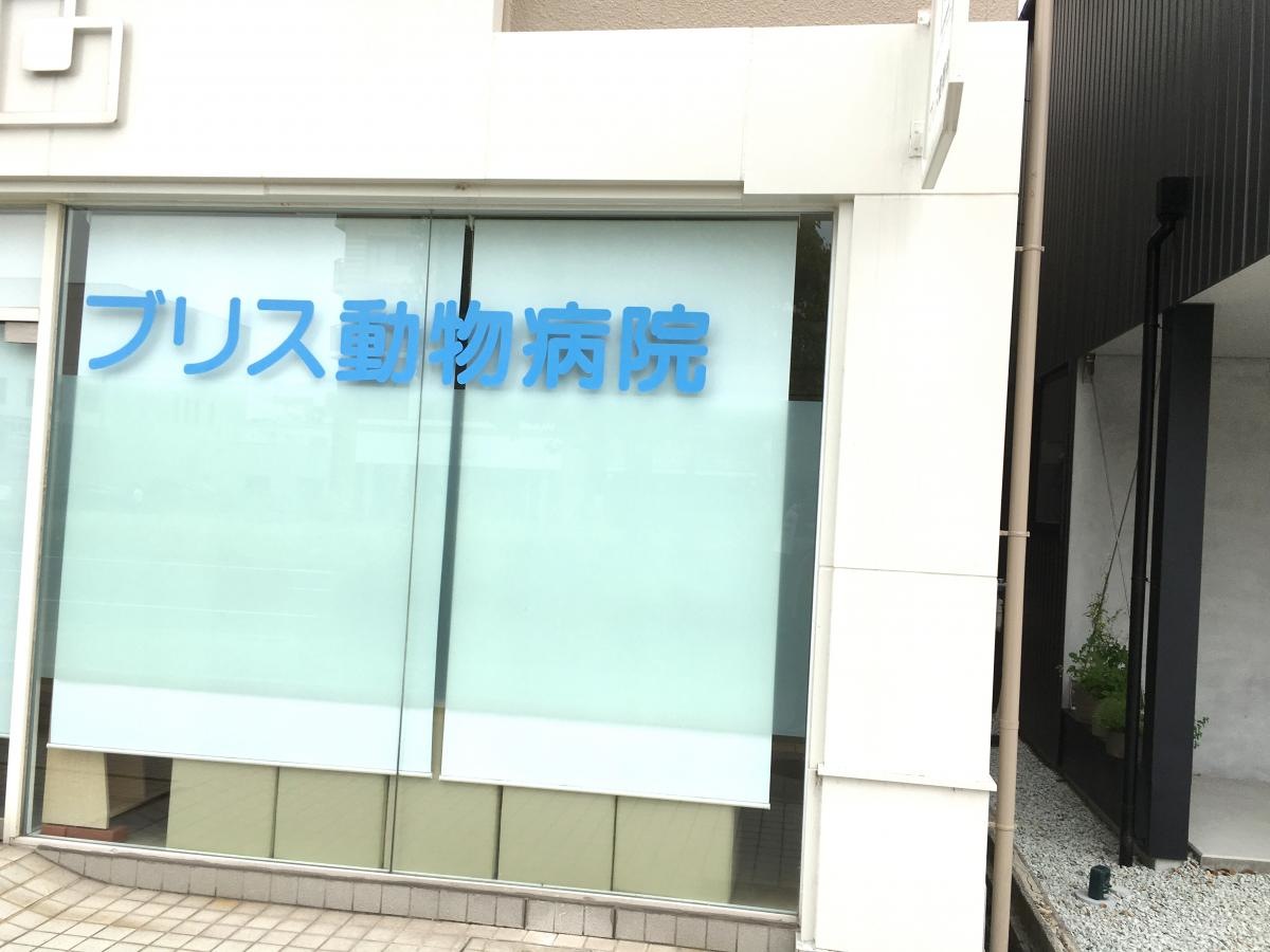 ブリス動物病院
