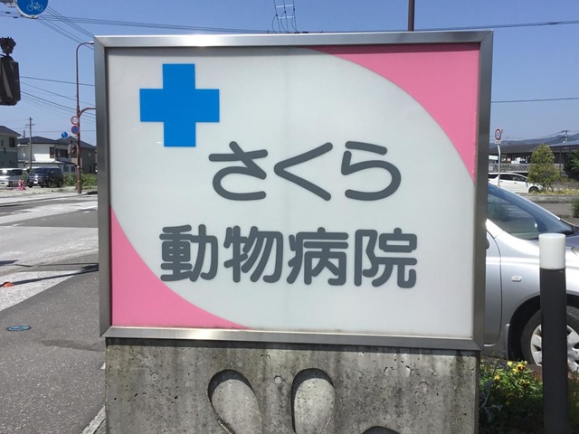 投稿写真5
