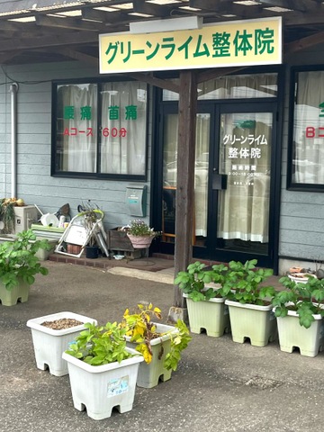 投稿写真4