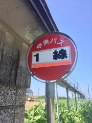 「１線(県道)」バス停留所