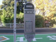 「桜ケ丘(川口市)」バス停留所