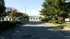 長井小学校