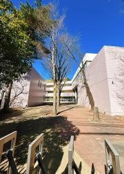 日本看護協会看護研修学校