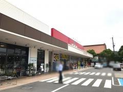ゴダイドラッグ相生店