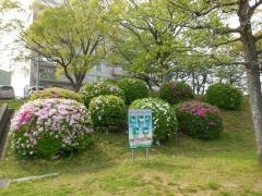 向陽町緑地
