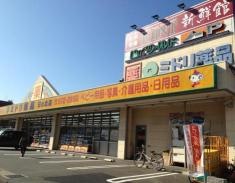 ミドリ薬品日の出店