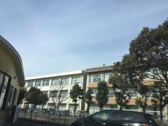 城山小学校