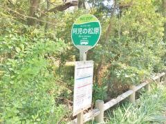 「阿児ノ松原」バス停留所
