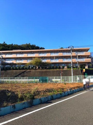 みどりの杜