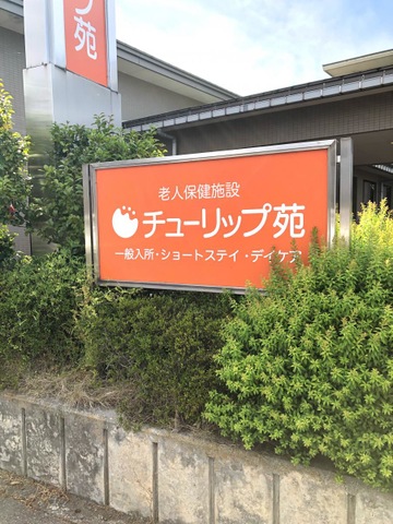チューリップ苑