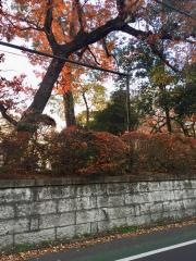 私立国立学園小学校