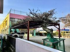 長篠幼稚園