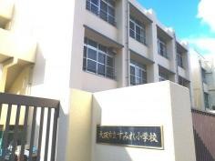 すみれ小学校