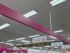ザ・ダイソー　イズミ氷上店