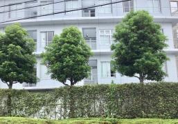 朝日病院