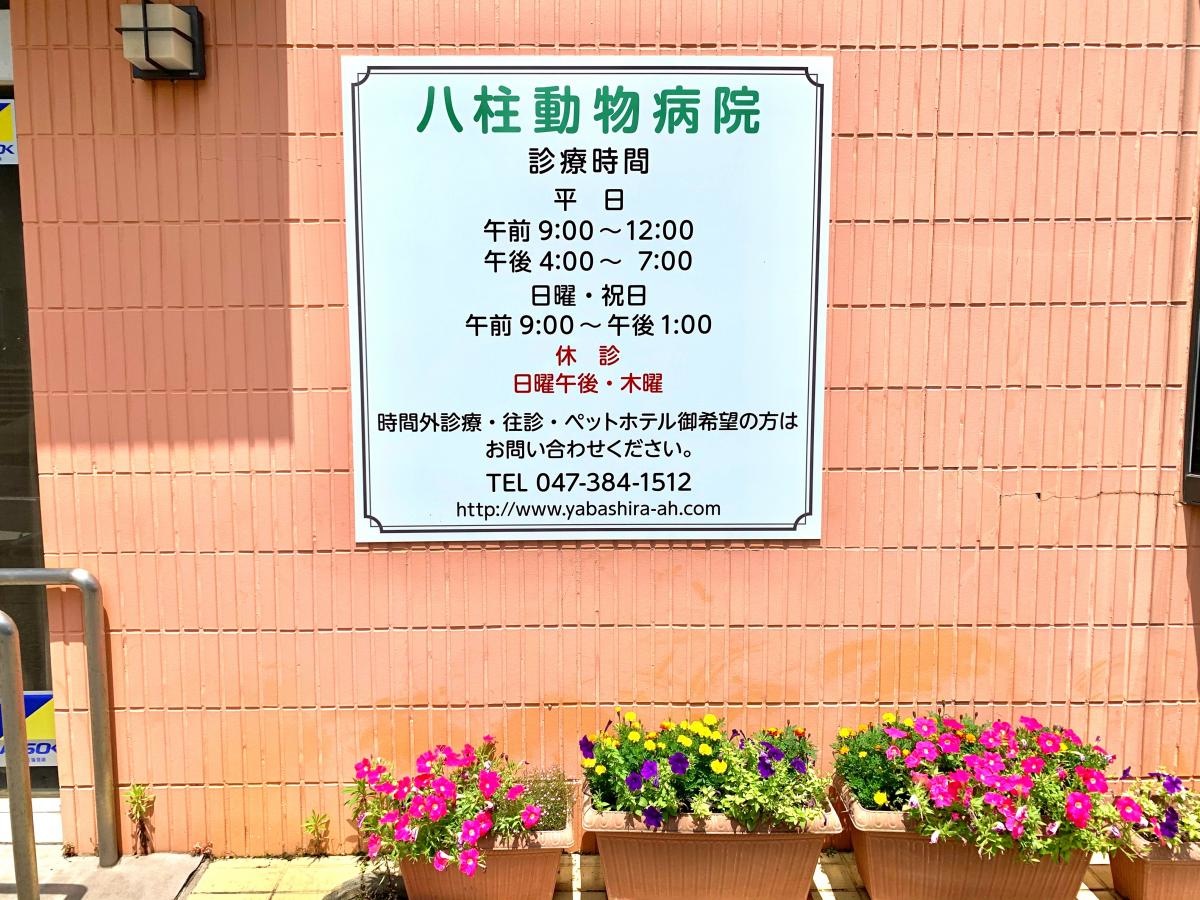 八柱動物病院のフラワーポットと診療案内表示