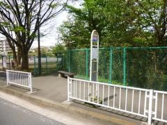 「汐見台小学校」バス停留所