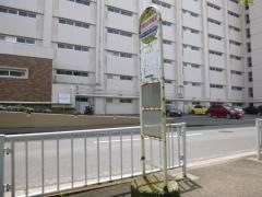 「汐見台小学校」バス停留所