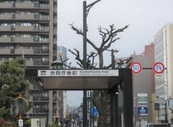 「合同庁舎前」バス停留所
