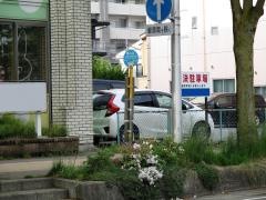 「中通６郵便局前」バス停留所