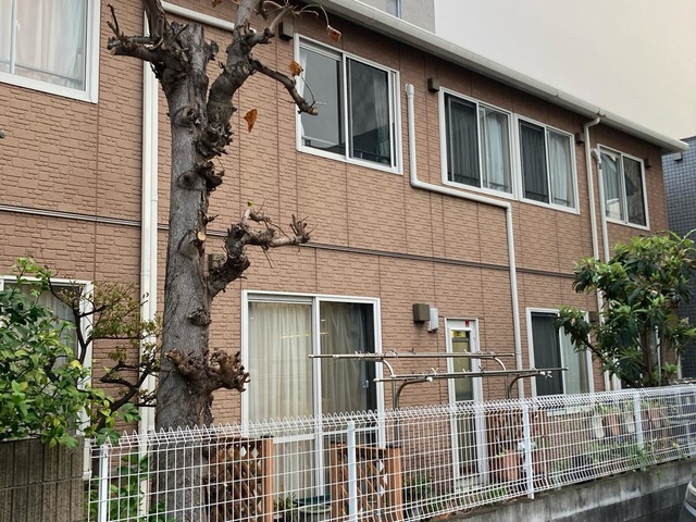 桐ノ木・本牧