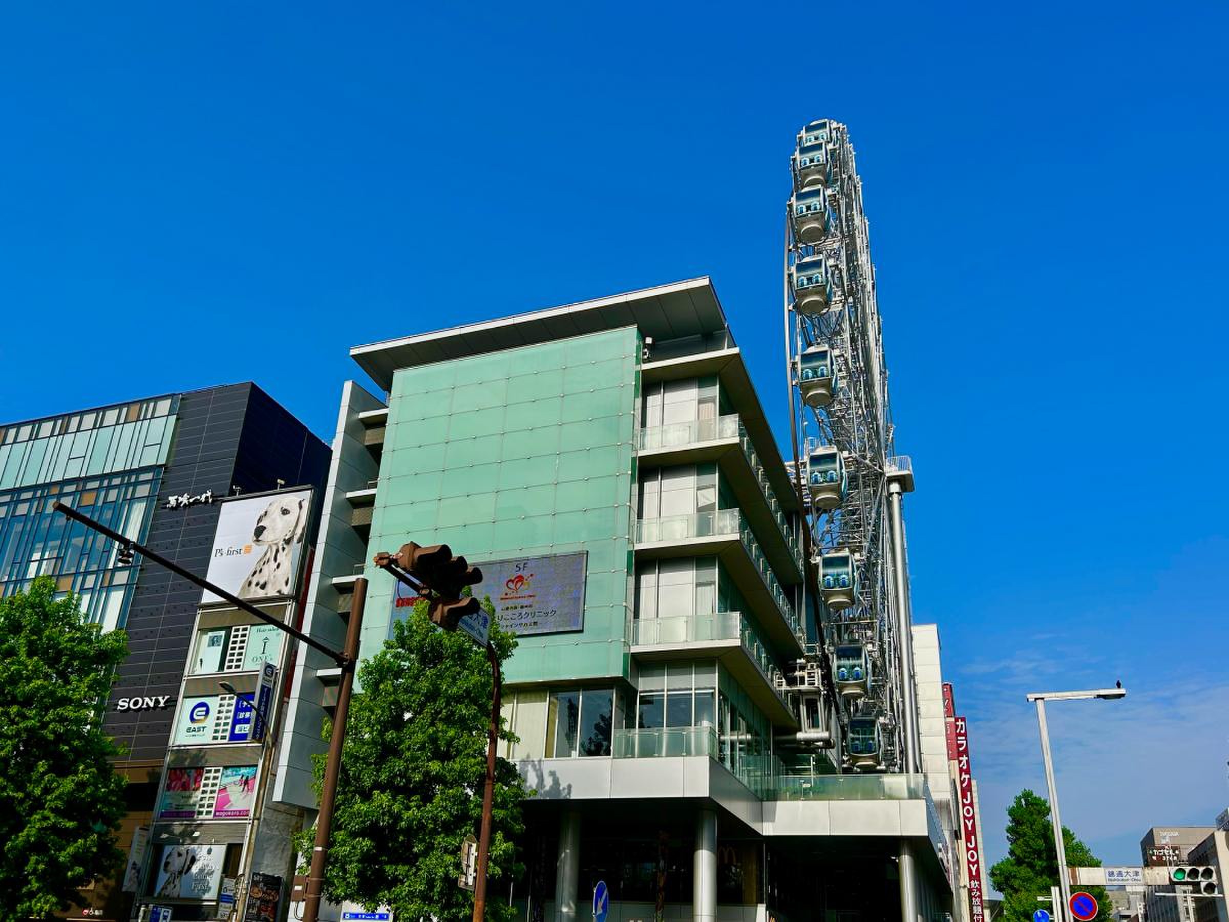 活動歴および当時の関連ビジュアル記録