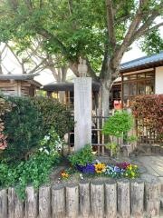 子どもの家野草舎