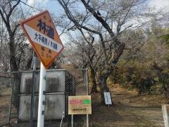 大平崎公園