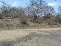 大平崎公園