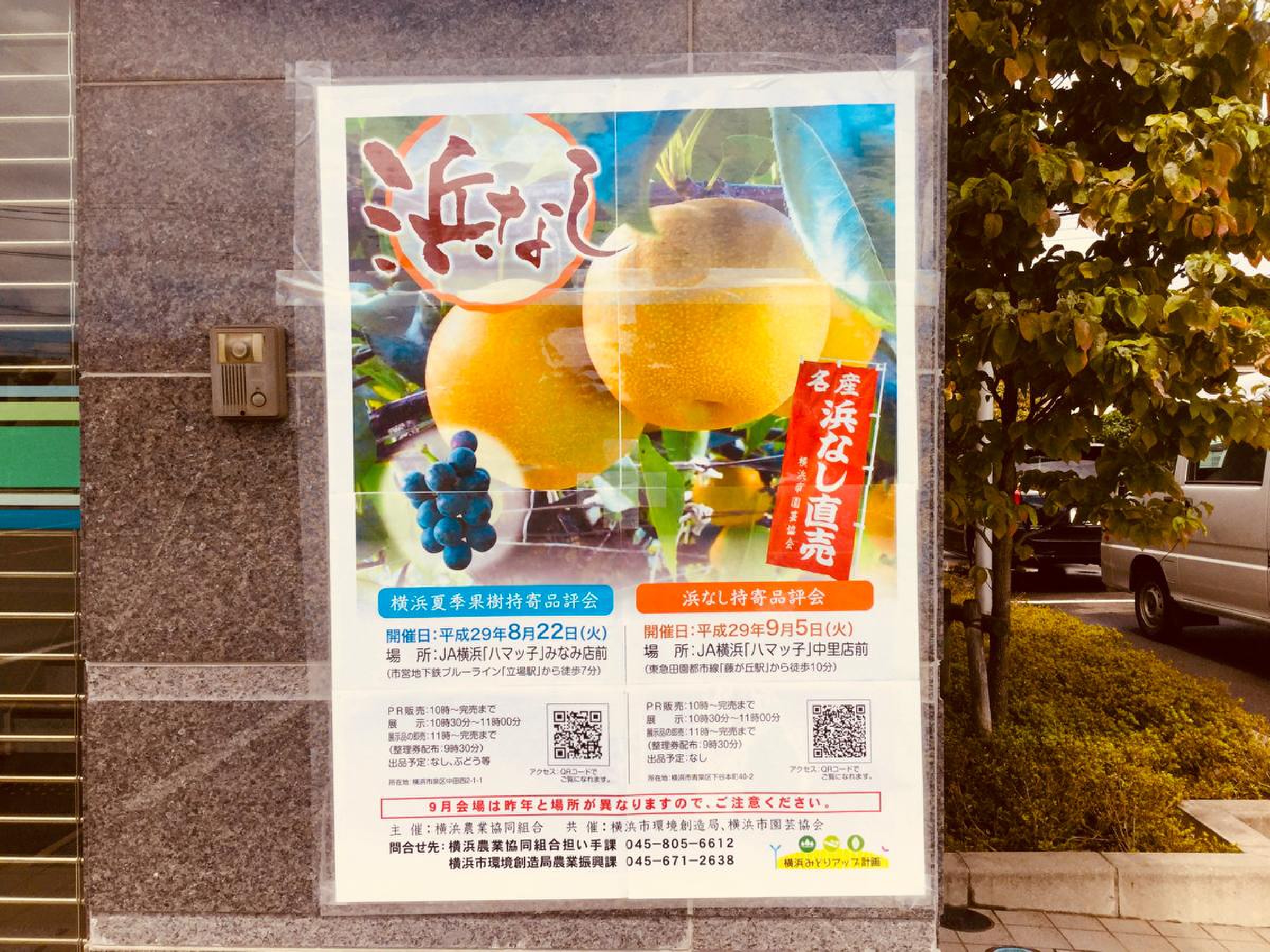 ja 横浜 中里 支店