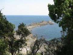 真鶴半島