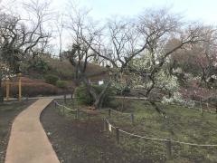 大倉山公園