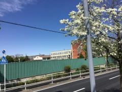 天白小学校